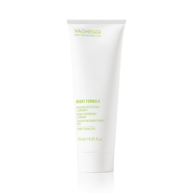 Vagheggi Bright Formula Regenerating Brightening Pigment Equalizer Mask 250ml — Маски Vagheggi Bright Formula Regenerating Brightening Pigment Equalizer Mask 250ml — Маски