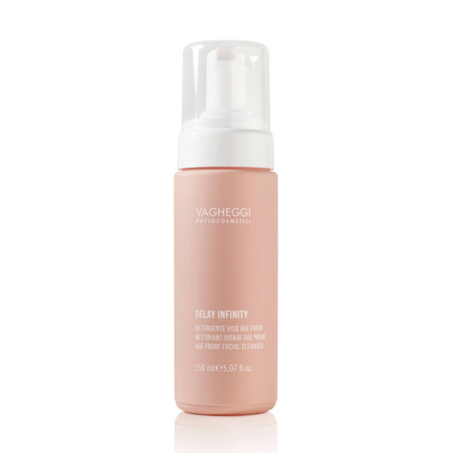 Vagheggi Delay Infinity Age Proof Facial Cleanser Mousse 150ml — Очищение Vagheggi Delay Infinity Age Proof Facial Cleanser Mousse 150ml — Очищение